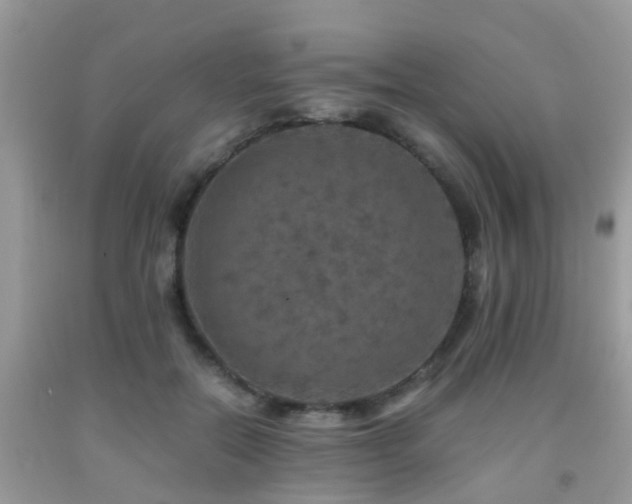 X0000091960554200709061304