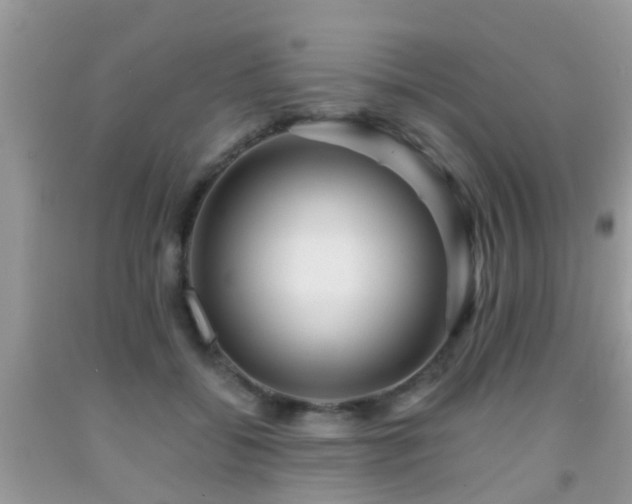 X0000091960556200709061304