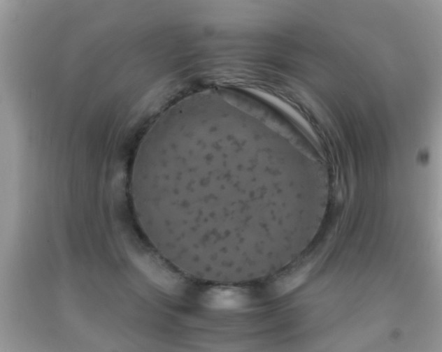 X0000091960557200709061304