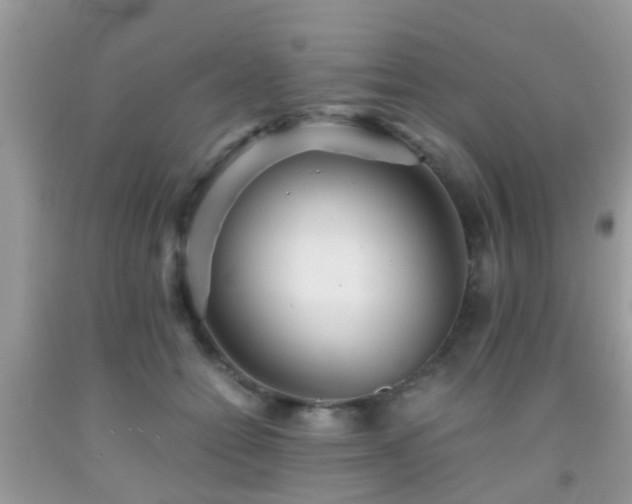 X0000091960558200709061304