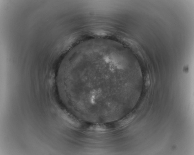 X0000091960559200709061304