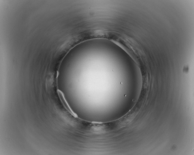 X0000091960560200709061304