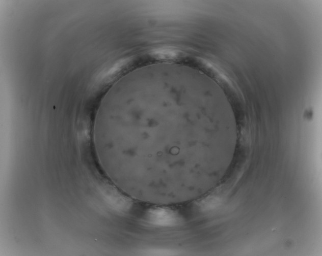 X0000091960561200709061304