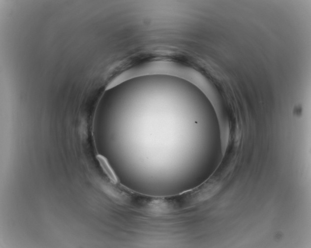 X0000091960562200709061304