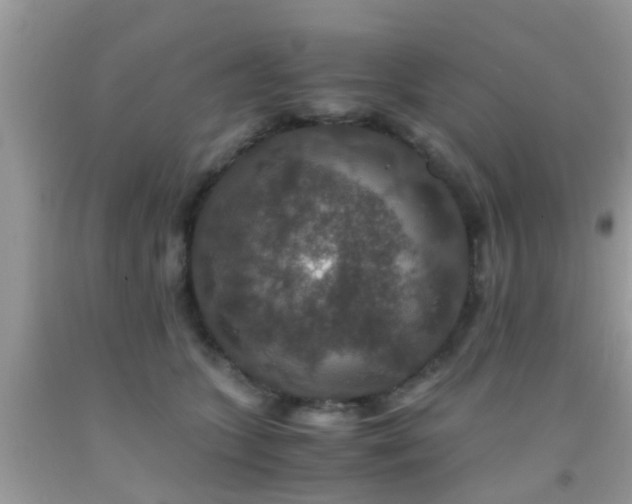 X0000091960563200709061304