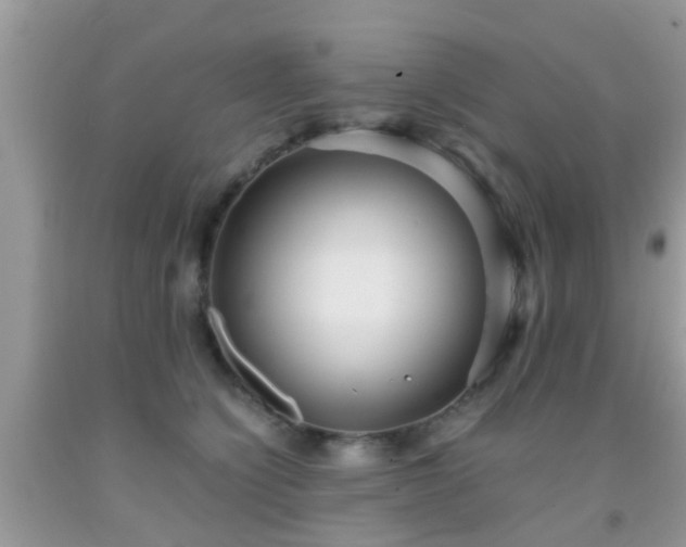 X0000091960564200709061304