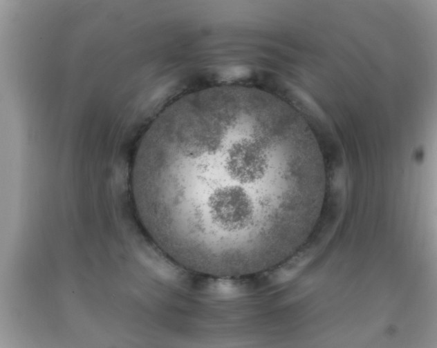 X0000091960565200709061304