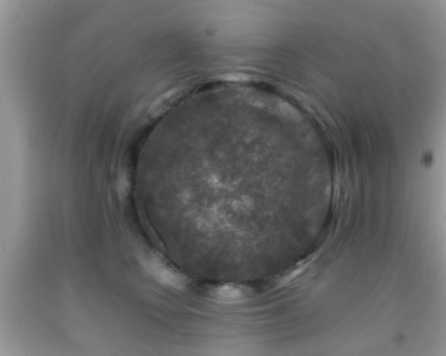 X0000091960566200709061304