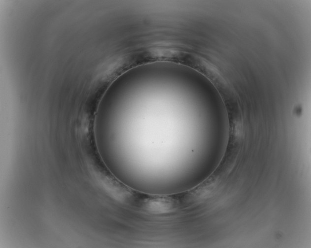 X0000091960567200709061304