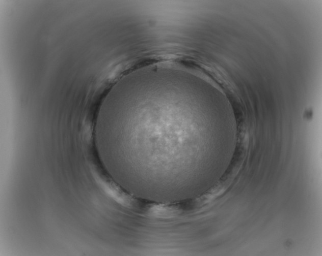 X0000091960568200709061304