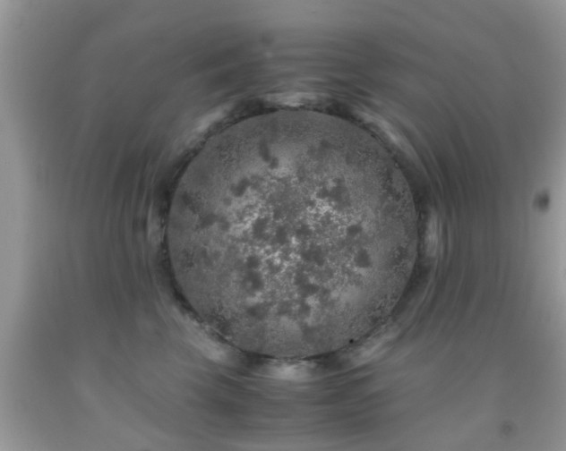 X0000091960569200709061304