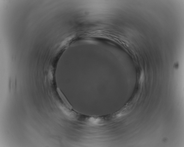 X0000091960570200709061304