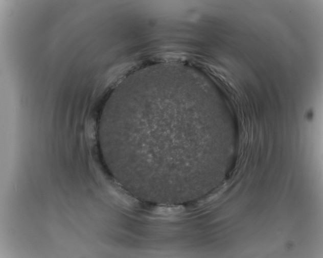 X0000091960571200709061304