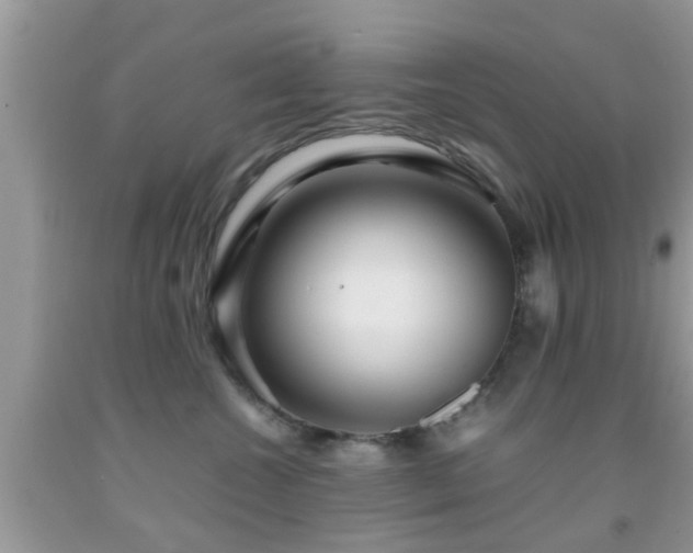 X0000091960572200709061304