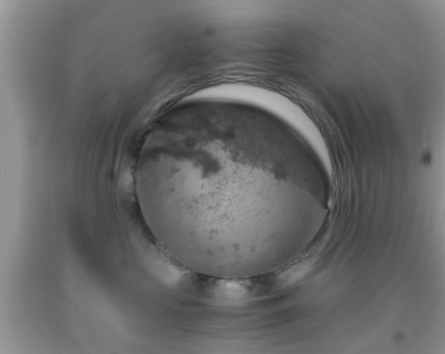 X0000091960573200709061304