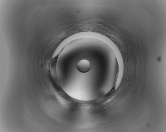 X0000091960574200709061304