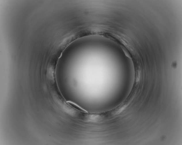 X0000091960575200709061304