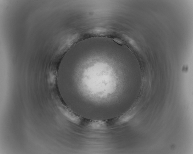 X0000091960576200709061304