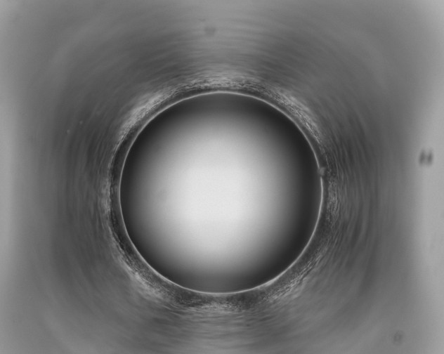 X0000091960578200709061303