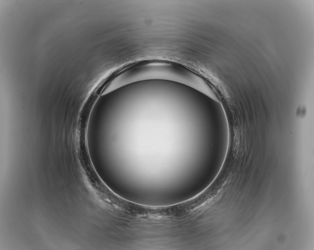 X0000091960580200709061303