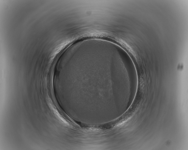 X0000091960581200709061303