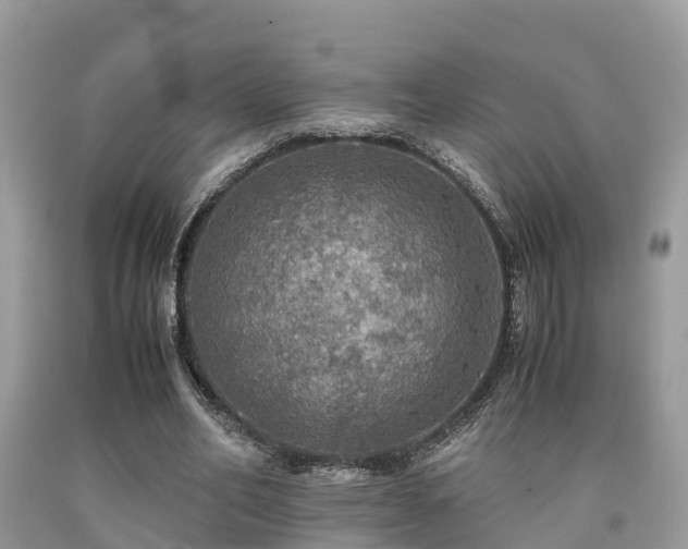 X0000091960582200709061303