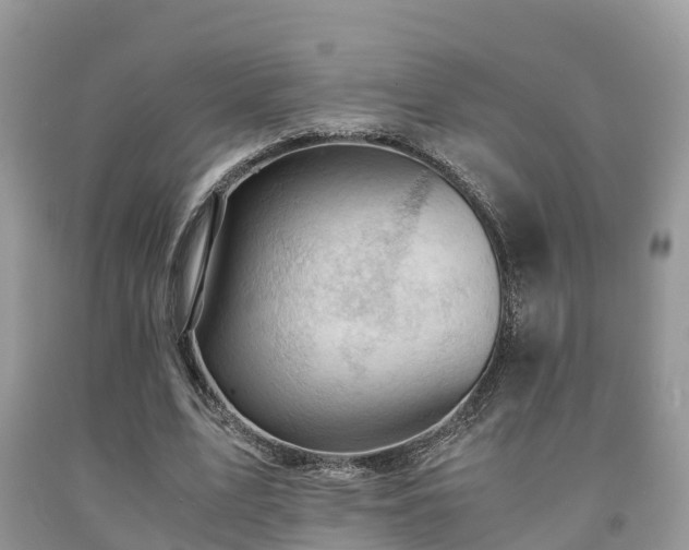 X0000091960583200709061303