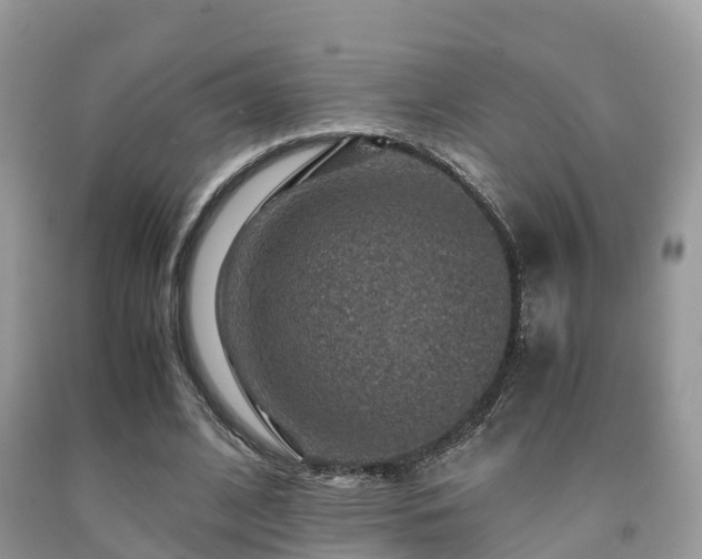 X0000091960584200709061303