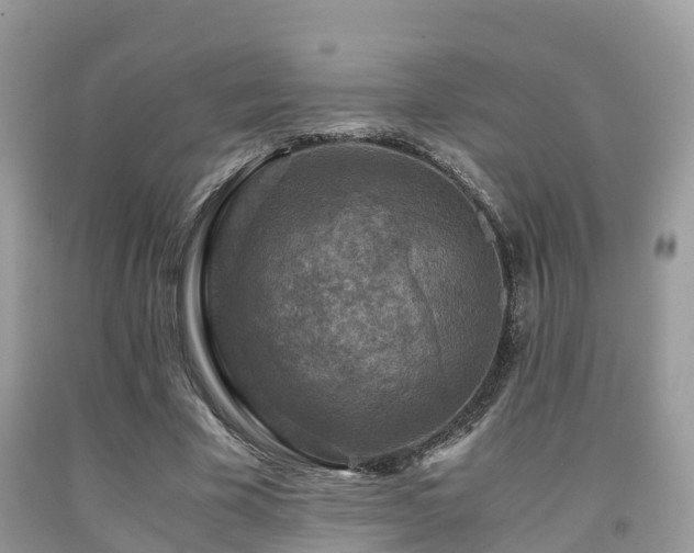 X0000091960585200709061303