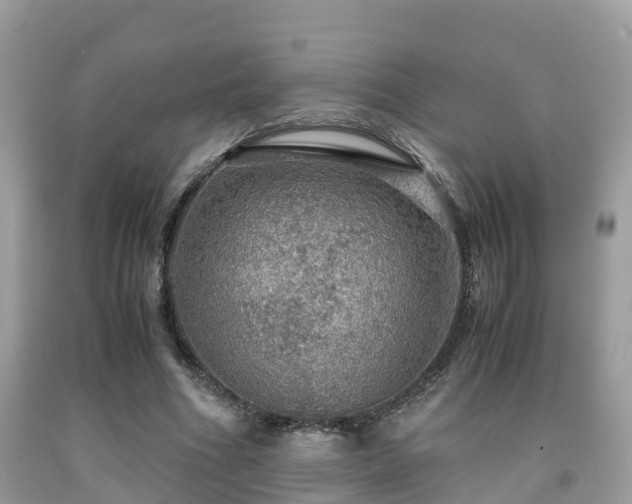 X0000091960586200709061303