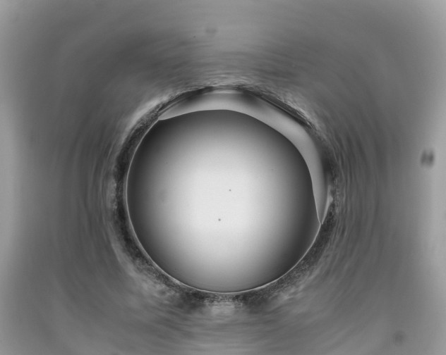 X0000091960587200709061303