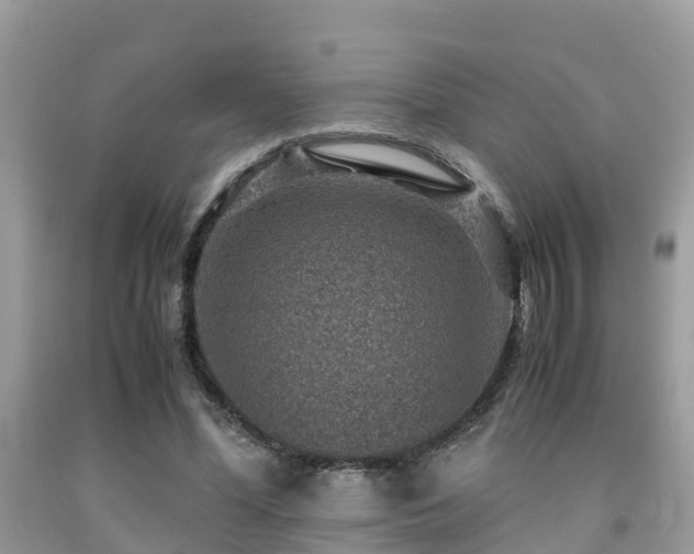 X0000091960588200709061303