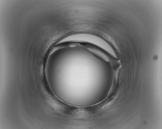 X0000091960589200709061303