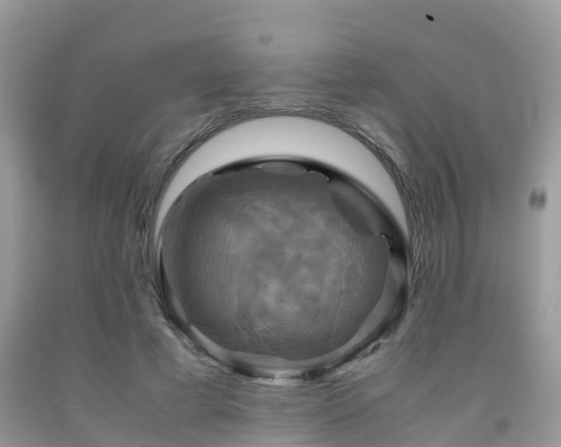 X0000091960593200709061303