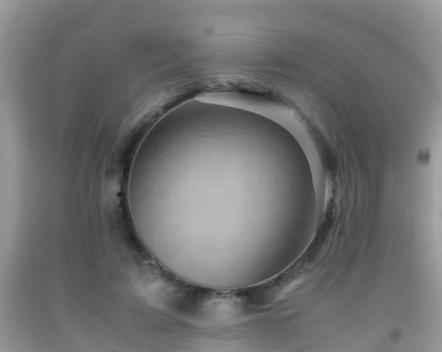 X0000091960595200709061303