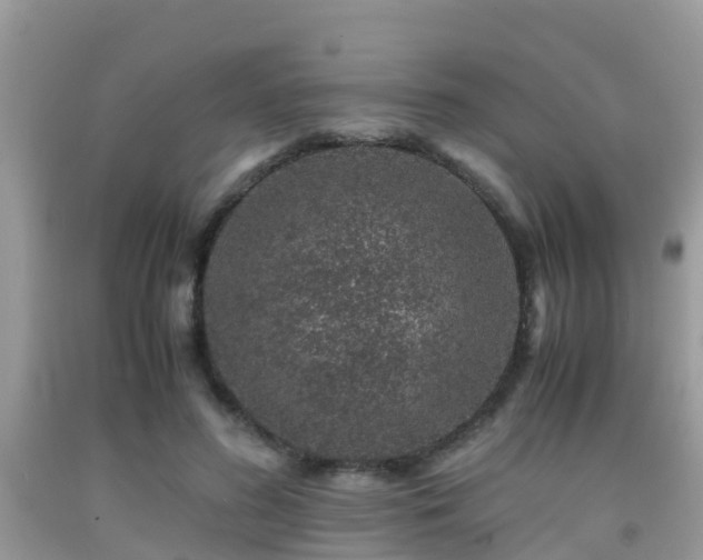 X0000091960596200709061303