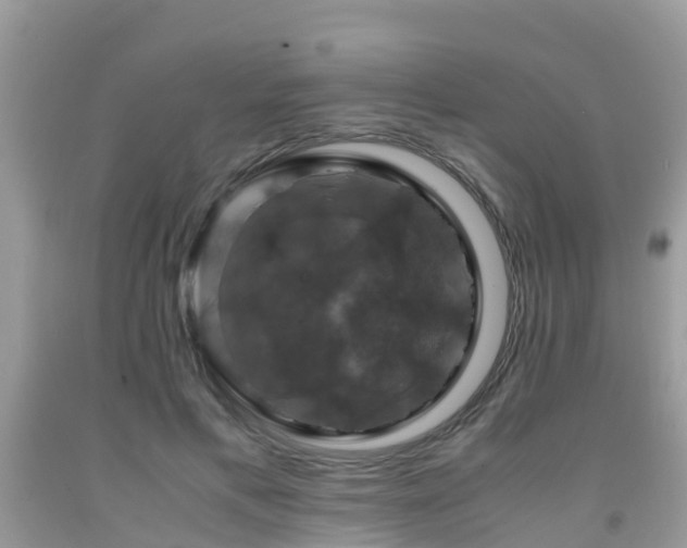 X0000091960597200709061303