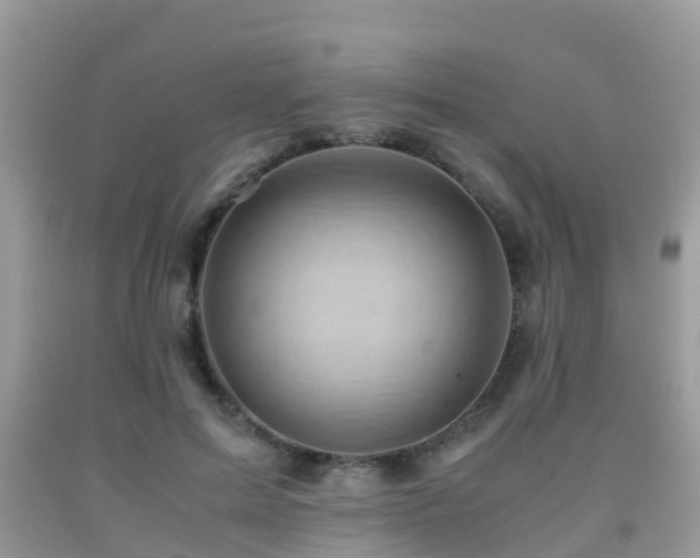 X0000091960599200709061303