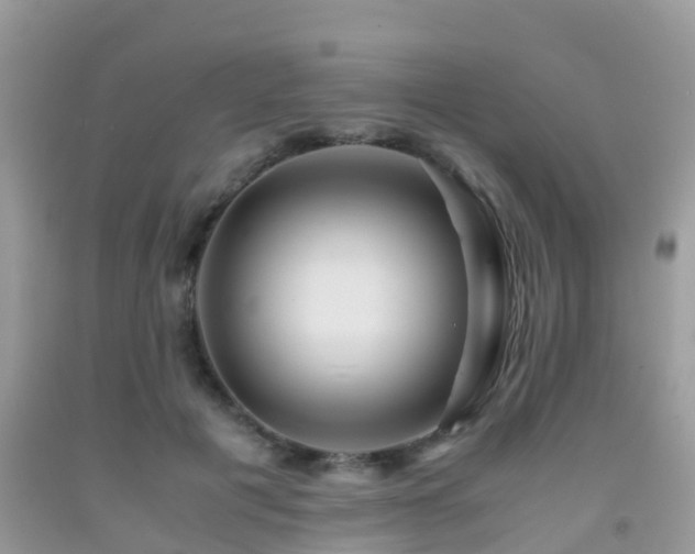 X0000091960601200709061303