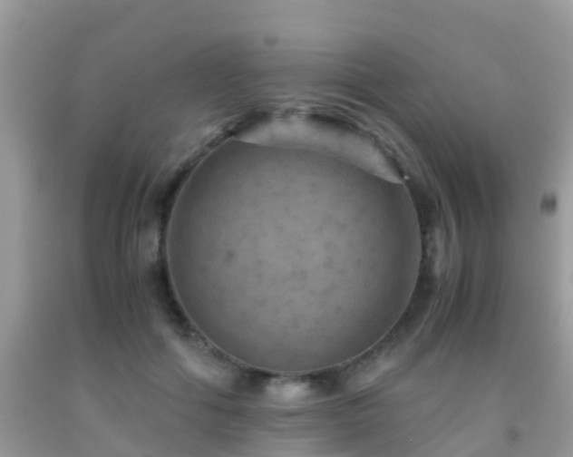 X0000091960602200709061303