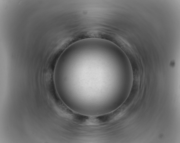 X0000091960603200709061303