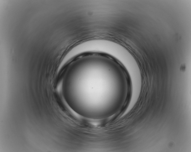 X0000091960604200709061303