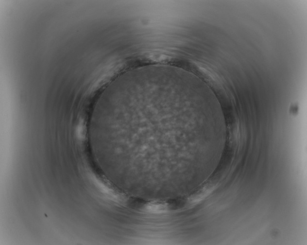 X0000091960606200709061303