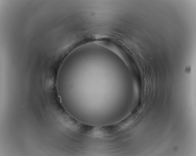 X0000091960608200709061303