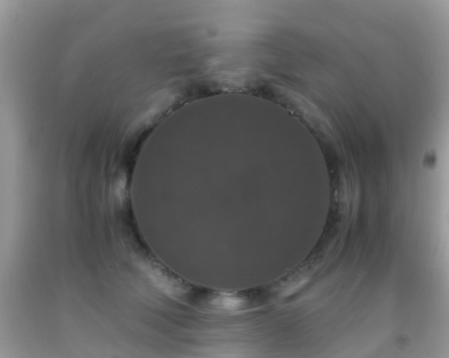 X0000091960610200709061303