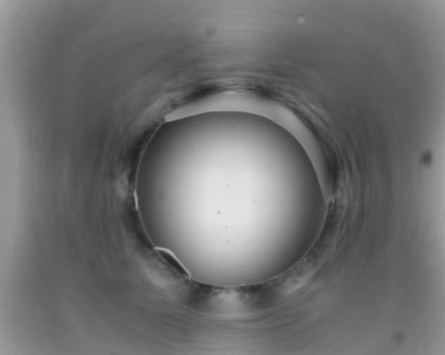 X0000091960611200709061303