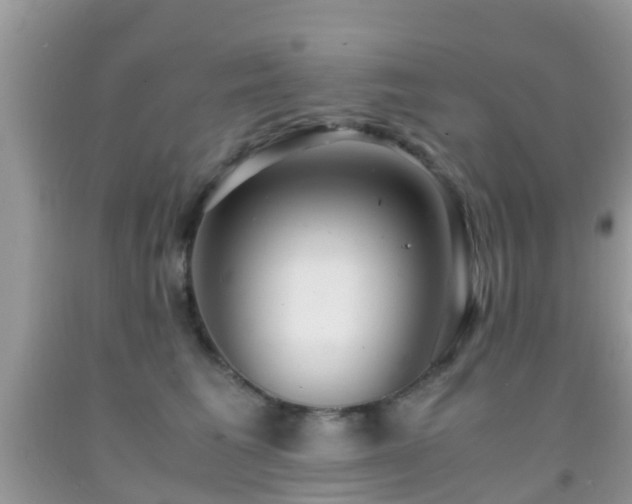 X0000091960613200709061303