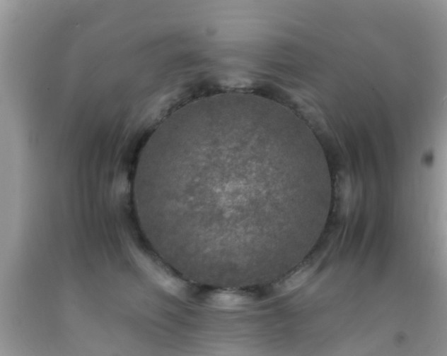 X0000091960614200709061303