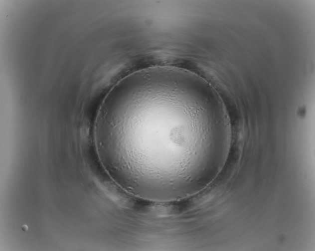 X0000091960615200709061303