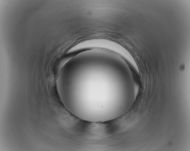 X0000091960617200709061303